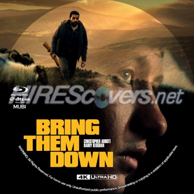 Bring Them Down (2025) by BajeeZa