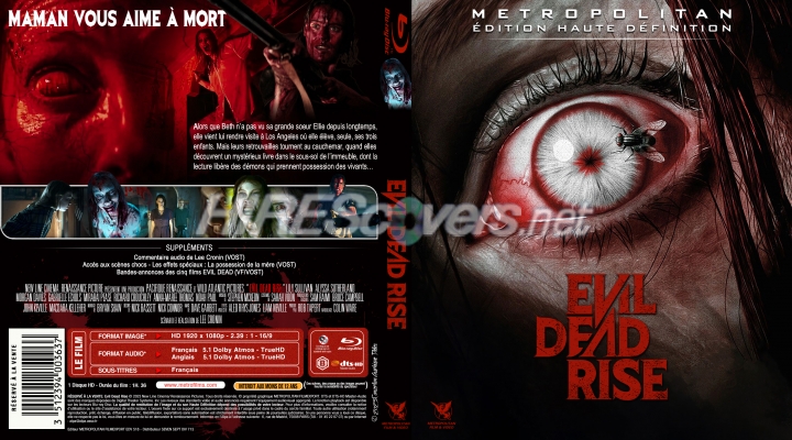 normal EVIL DEAD RISE Jaquette Blu ray