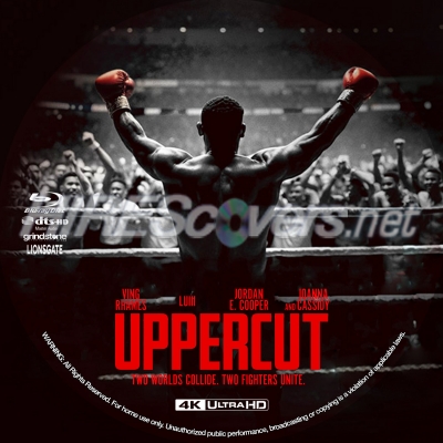 normal Uppercut 4K BD v2