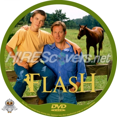 normal Flash DVD