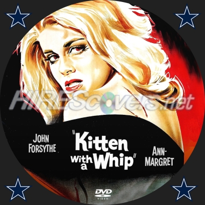 normal Kitten with a whip 1