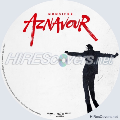 Monsieur Aznavour (2024) by TheDuke64
