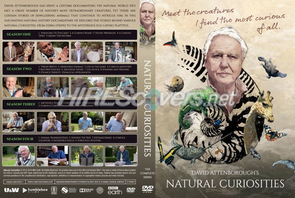 normal Natural Curiosities
