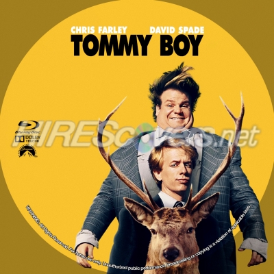 normal Tommy Boy BD v3