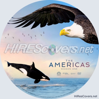 normal Americas The 2025 Season One Custom DVD Label