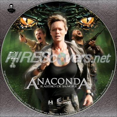 normal Anaconda 4