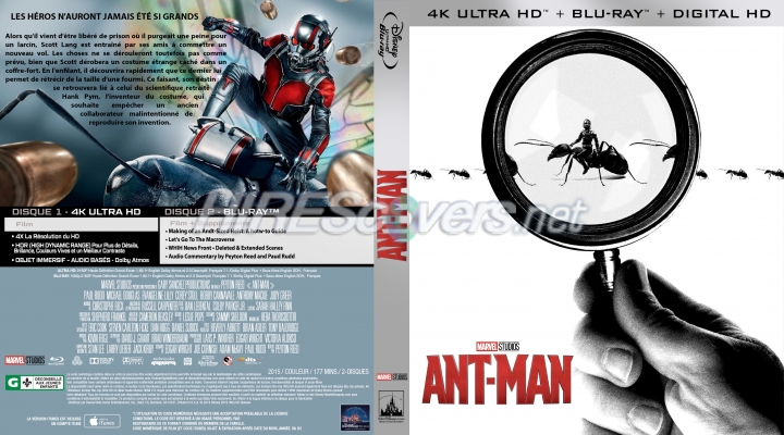 normal Ant Man 2015 4K Fr