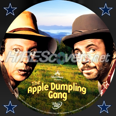normal Apple Dumpling gang DVD