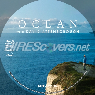 normal Ocean with David Attenborough 4K BD v1
