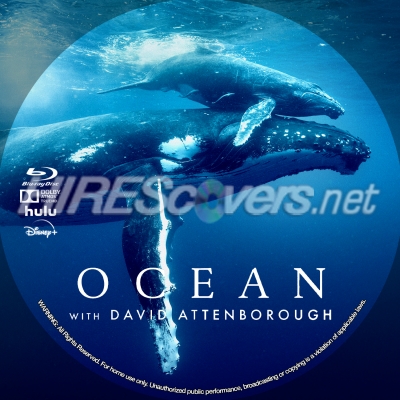 normal Ocean with David Attenborough BD v3