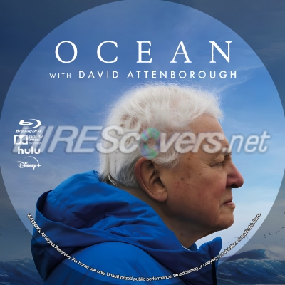 normal Ocean with David Attenborough BD v4