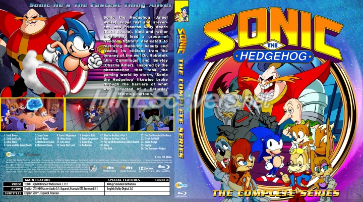 normal Sonic The Hedgehog 1993