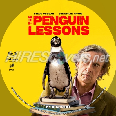 normal The Penguin Lessons 4K BD v1