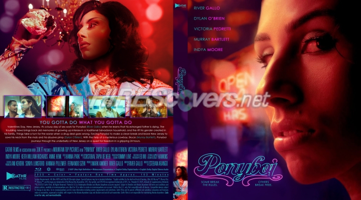 normal Ponyboi 2024 Custom Ultra HD 4k Cover