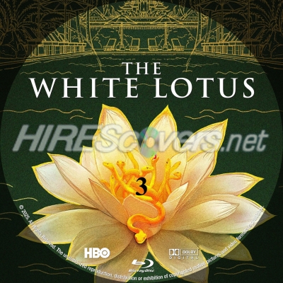normal the white lotus br 3