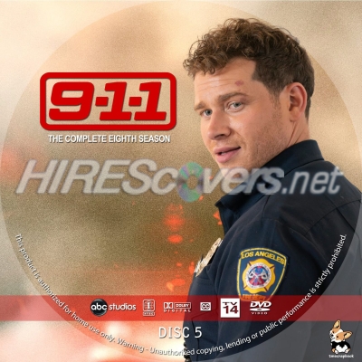 normal 911 S8D5