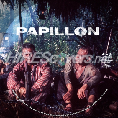 normal Papillon BD v20