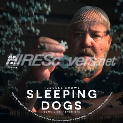 normal Sleeping Dogs 4K BD v3