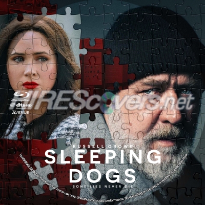 normal Sleeping Dogs BD v2
