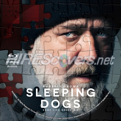 normal Sleeping Dogs BD v5