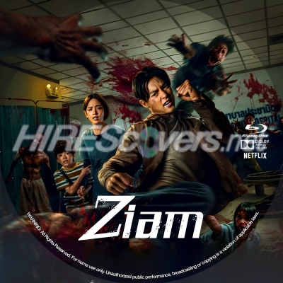normal Ziam BD v1