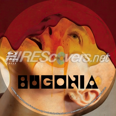 normal Bugonia BD v1