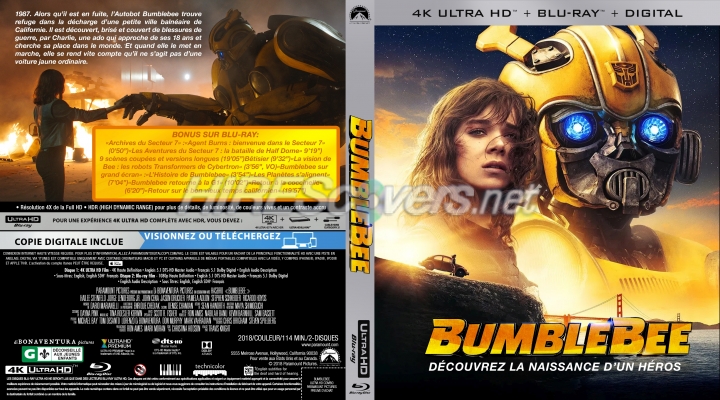 normal Bumblebee 2018 4K