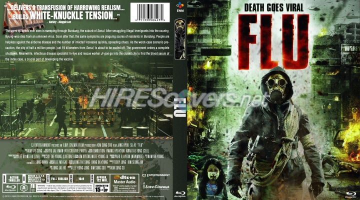 normal Flu 2013 BR Cover