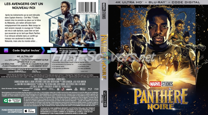 normal Panthere Noire 2018 4K