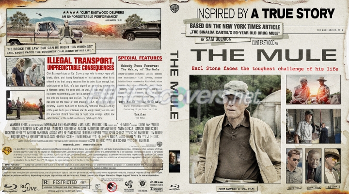 normal the mule english