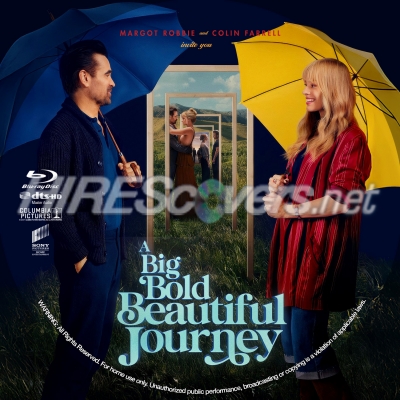 normal A Big Bold Beautiful Journey BD v2