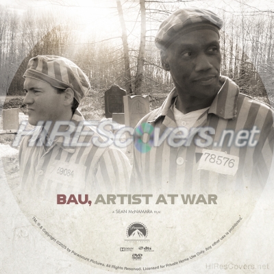 normal Bau Artist at War 2024 Custom DVD Label