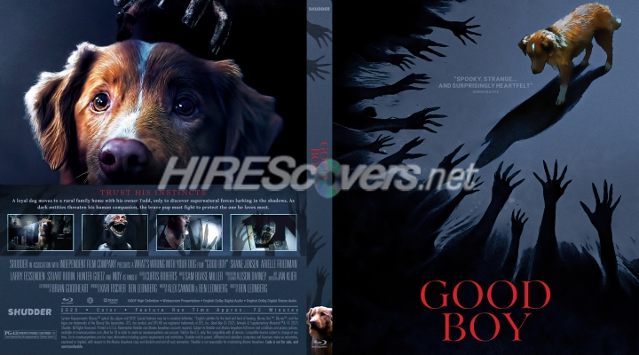 normal Good Boy 2025 Custom Blu ray Cover