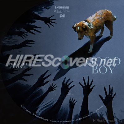 normal Good Boy 2025 Custom DVD Label