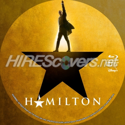 normal Hamilton BD v1