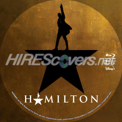 normal Hamilton BD v3