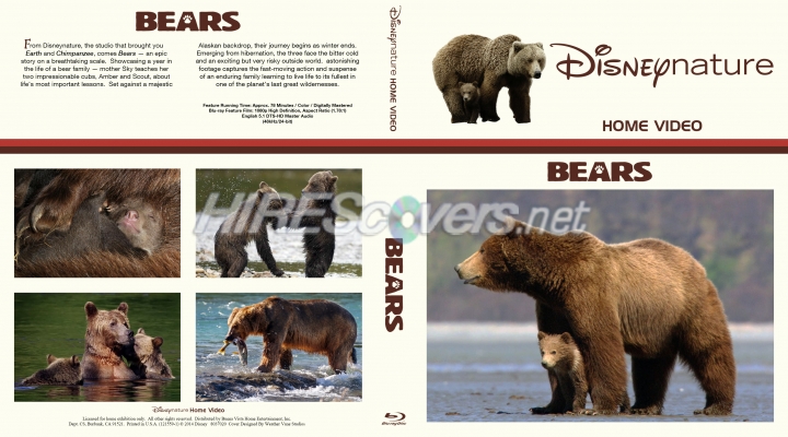 normal Bears