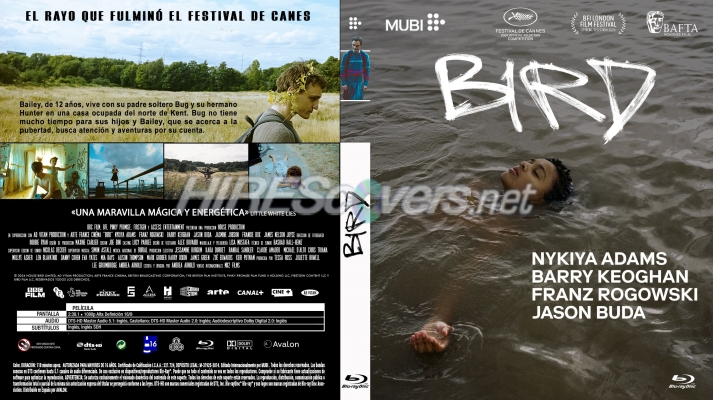 normal Bird caja Bluray Mubi Avalon