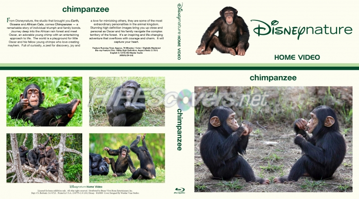 normal Chimpanzee