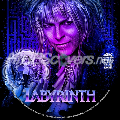 normal Labyrinth 4K BD v3