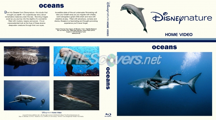 normal Ocean0