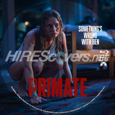 normal Primate BD v3