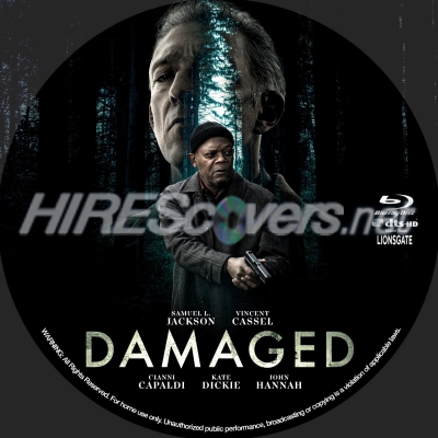 normal Damaged BD v3