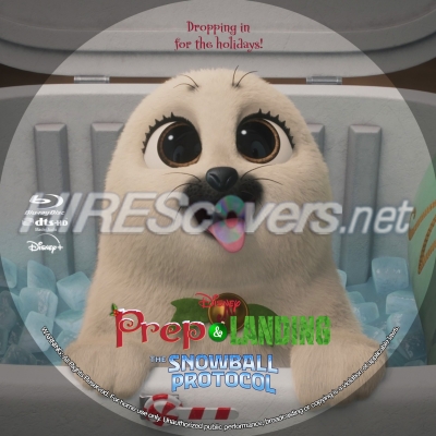 normal Prep Landing The Snowball Protocol BD v3