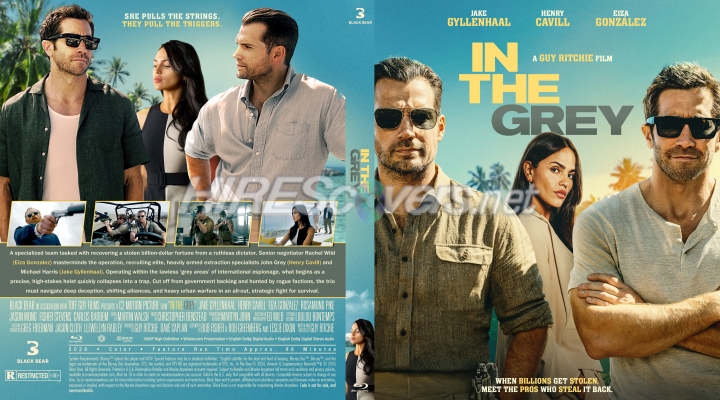 normal In the Grey 28202629 Custom Blu ray Cover