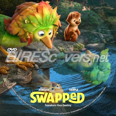 normal Swapped DVD v1
