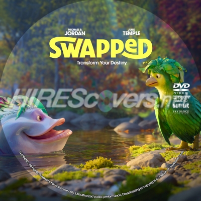 normal Swapped DVD v4
